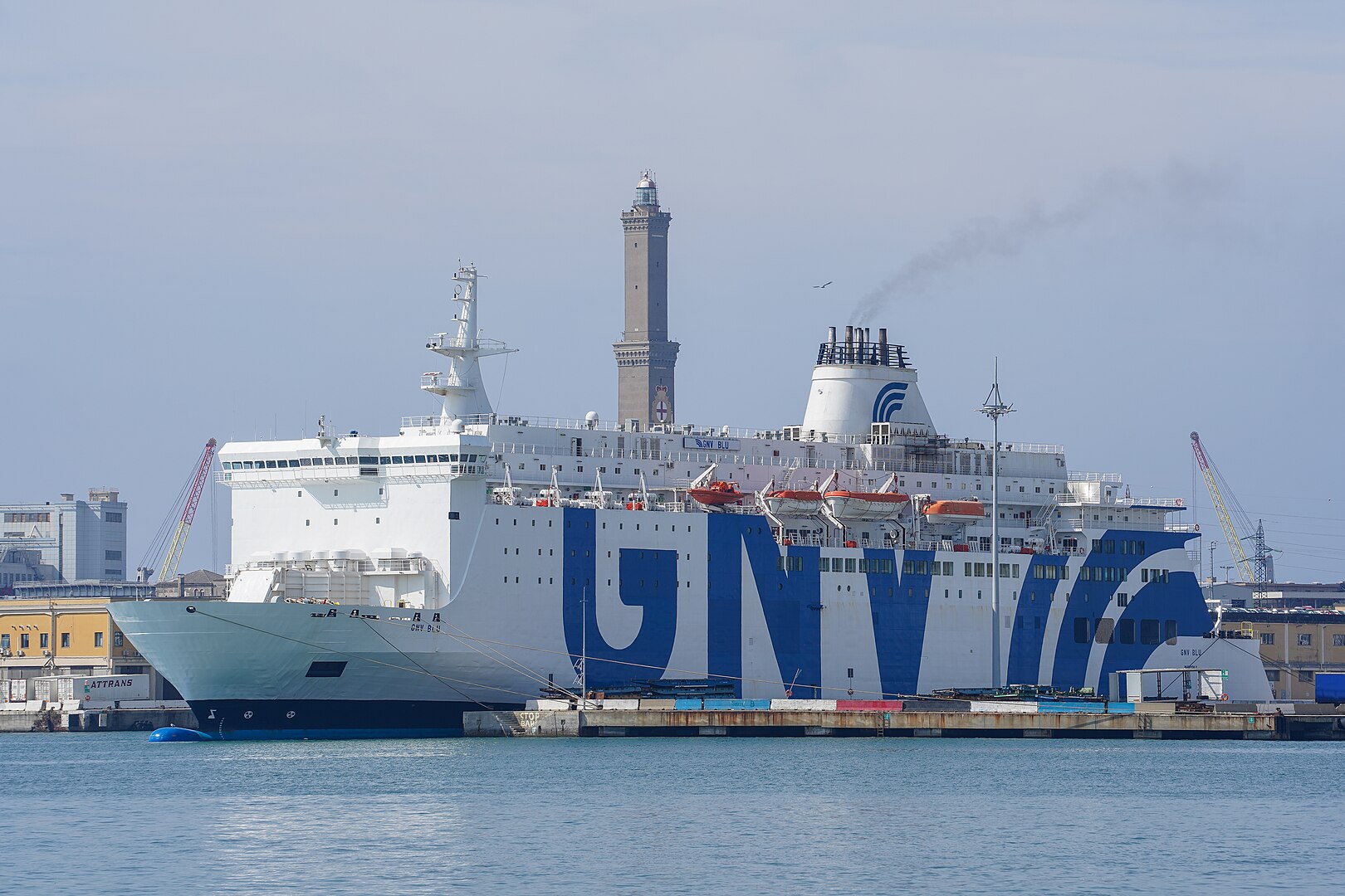 GNV Blu Esterna